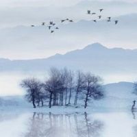 天钺星在夫妻宫 此情况婚后生活是否幸福