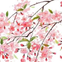 五行属火的店铺名字大全 旺铺大气有寓意取名