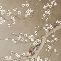 女孩子旺财的面相 耳垂厚的人命好