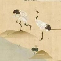 2022年芒种几月几日农历几月几日几点几分