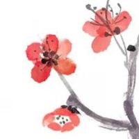 5开头的车牌号好不好 车牌号首位为5怎么样