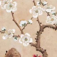 紫微天相夫妻宫嫁贵夫 微在子午二宫独坐