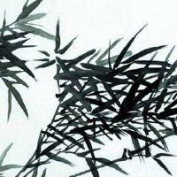 手机尾号是5好不好 手机尾号测算数字能量