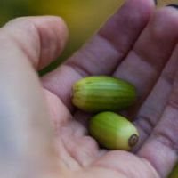 生命线绕到拇指后才有哪些观点