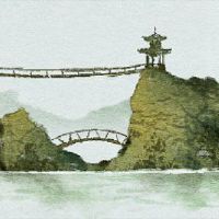 说货币树中的三个主要风水禁忌