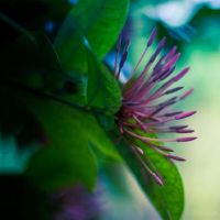 每种血型在社会中的作用