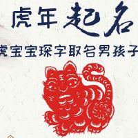 虎宝宝琛字取名男孩子