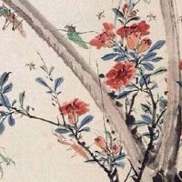 适合客厅的花卉植物 君子兰贵气有风范