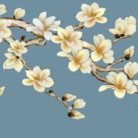 为什么说头发少的人命好 头发少的人易操劳