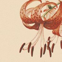 大年初三民政能够办理结婚证吗,正月初三有什么忌讳?