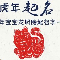 虎年宝宝龙凤胎起名字一男一女