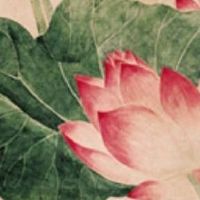 手机号码尾数大全解释 值得推荐使用的手机号码