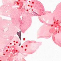 数字风水55代表什么 吉祥如意的车牌数字