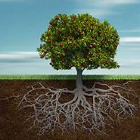 财位摆放什么位置最好 家庭幸福财源滚滚