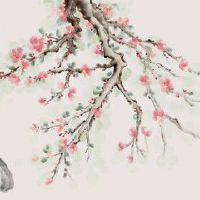 属兔人怎么选车牌号 步步高升不忘初心