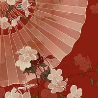 车牌号带五数字好不好 盘点旺车主运势的字母