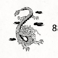 88属龙生2023兔宝宝好吗?