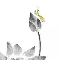 2022年小暑前有雨吗 小暑是入伏吗