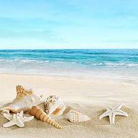 鱼缸能随意放吗 放置鱼缸的一些注意事项