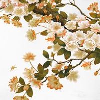 2022年10月15日出生的女宝宝五行缺什么,是什么命