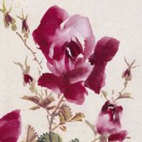 卖家具取什么名字最吉利 卖家具经典好名推荐