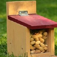 1972年属鼠2022婚姻生活感情怎样