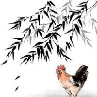 2022年93年属鸡的事业运 运势喜人事业前景大好