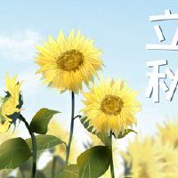 立秋养生知识 注意易发疾病的预防