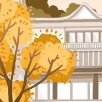 出行择吉 2022年11月生肖虎出行黄道吉日