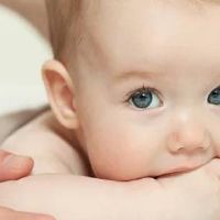 属虎缺火的宝宝名字大全集 2022年最好的孩子取名宜用字分享