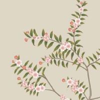 小暑节气起风的讲究是什么 节气养生运动推荐