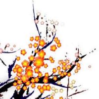 夫妻宫有流月变动 非吉善之星入夫妻宫