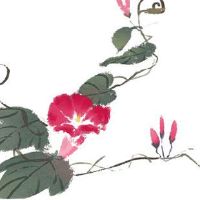 正官正印正财命很好吗 掌控财产能力强