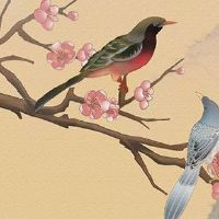 最详细的隐耳面相详细解析 有助事业节节升高