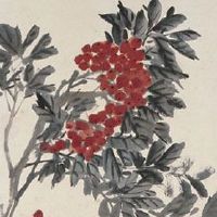 夫妻宫有红鸾星代表什么 紫微破军在丑守夫妻宫