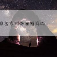 男孩的名字叫张王，好吗？