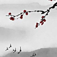 75年的兔子今年的运程 发财运气显现明显