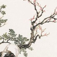 2022年11月23日出生的女孩子是什么命格 旺禄常在 晚景大好