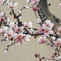 2022年11月26日出生的女宝宝五行缺什么,是什么命