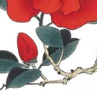 属猪人2022年12月哪几天结婚好 上等结婚吉日