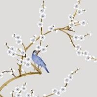 车牌尾号47为啥不好 旺财的吉利数字汇总