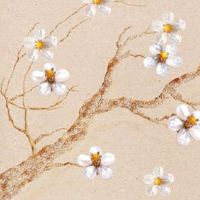 车牌号带62为啥不好 最旺事业的车牌号码