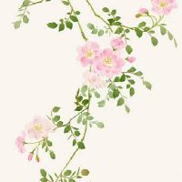 想开网店起什么名字 2022最新吉利好听新店名字