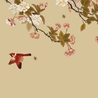 1975年属兔人一生运程 收入平稳生活安逸