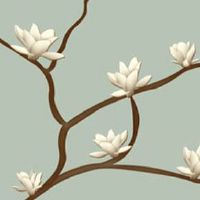 车牌号255的寓意 好寓意的车牌号码选择