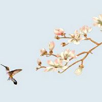 夫妻宫逢三合代表什么 三合夫妻的好处