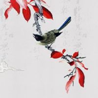 2022年11月14日出生的女宝宝八字五行查询 家庭幸福 财运旺盛