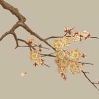 2022年入伏第一天是几月几号 入伏天注意事项大全