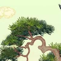 2022年12月属虎人上等订婚黄道吉日 订亲好日子