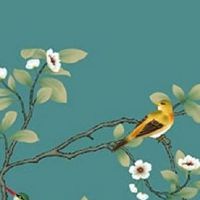 3个5的车牌号值多少钱 六六大顺的车牌数字